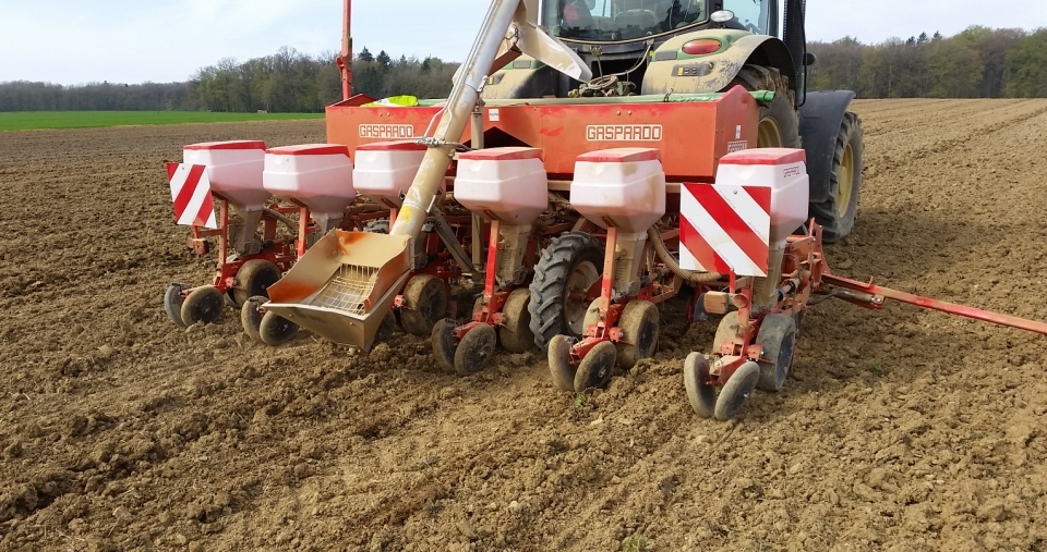 Bilder folgen in Kürze