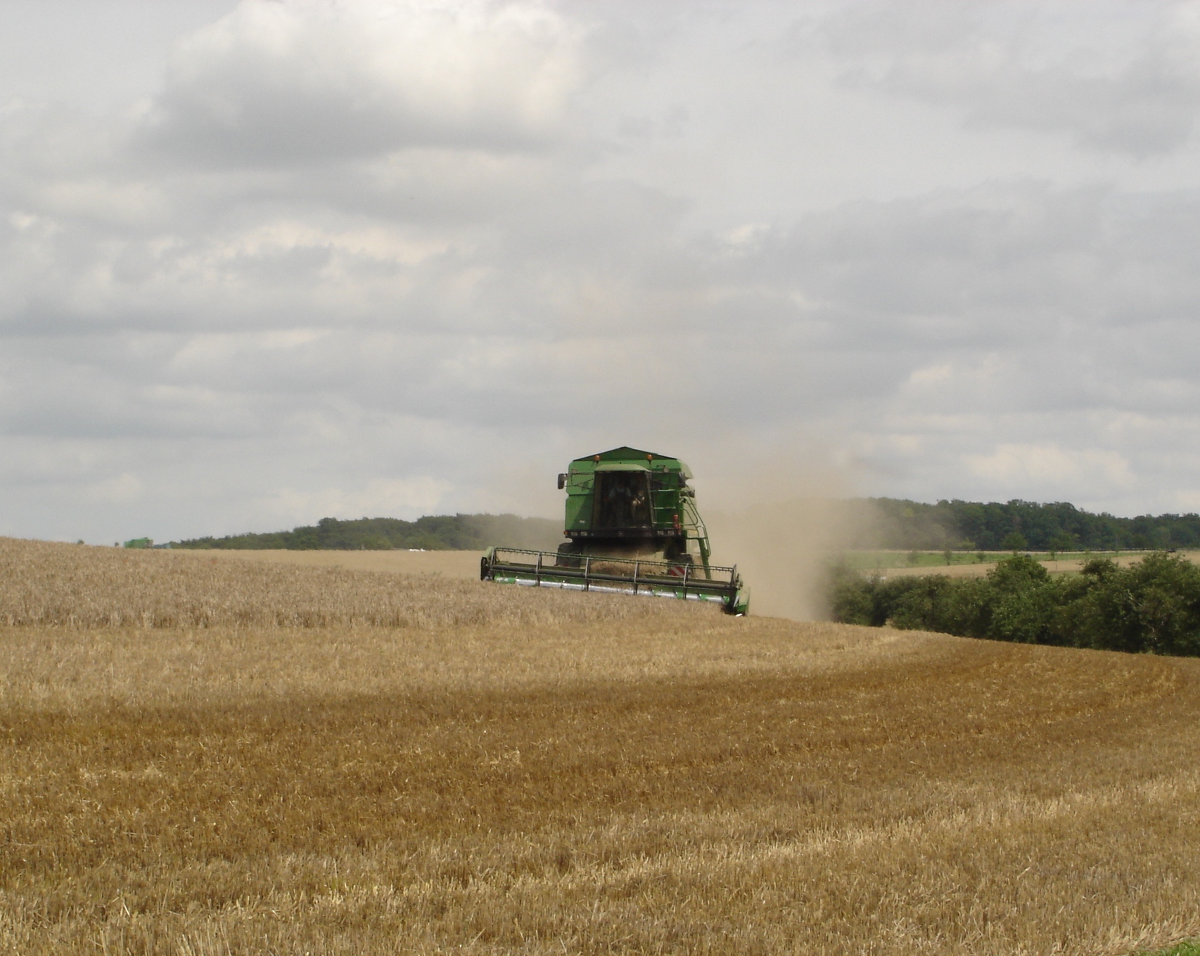 Bilder folgen in Kürze