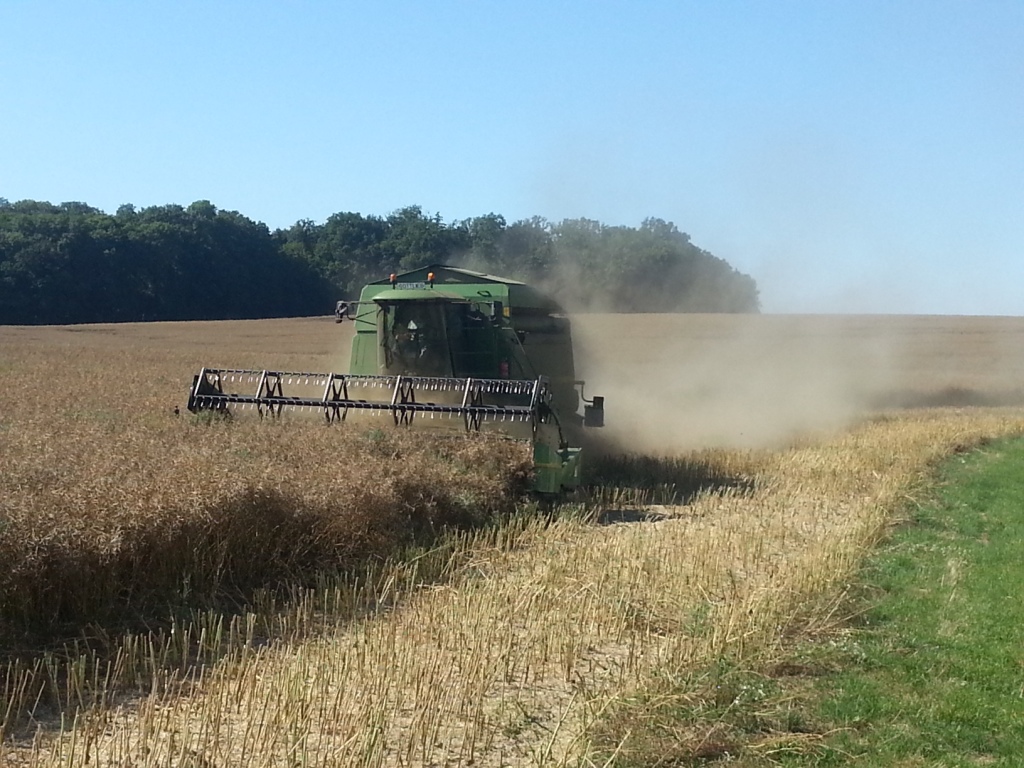 Bilder folgen in Kürze