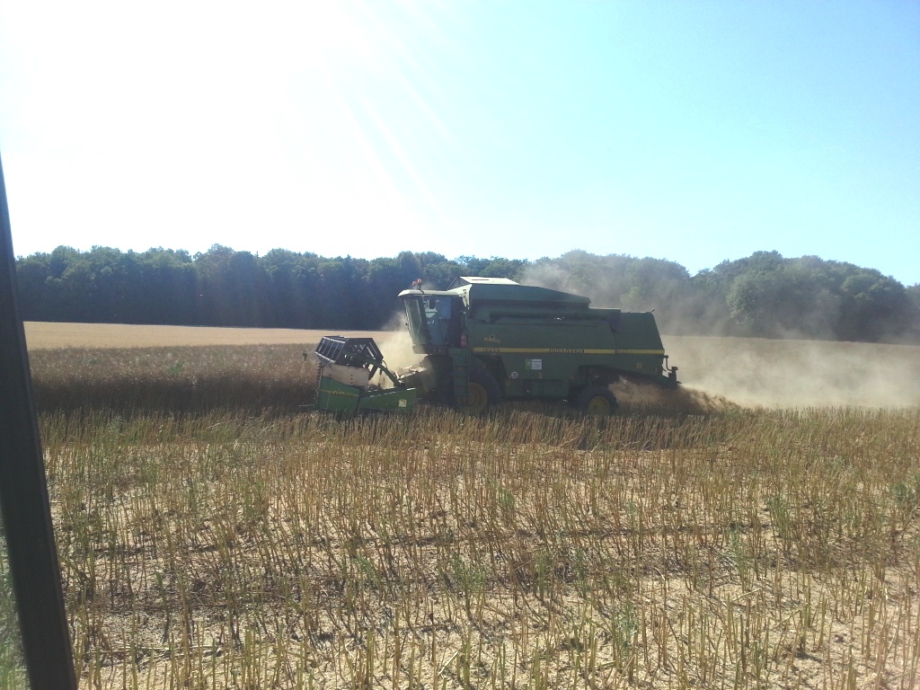 Bilder folgen in Kürze