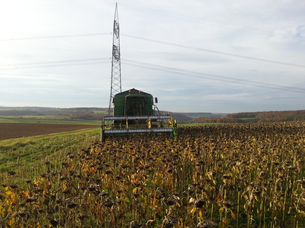 Bilder folgen in Kürze