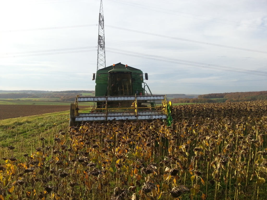 Bilder folgen in Kürze