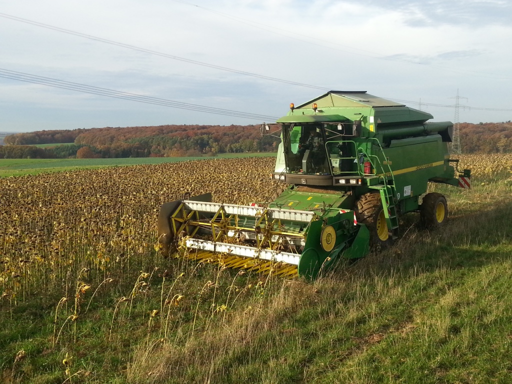 Bilder folgen in Kürze