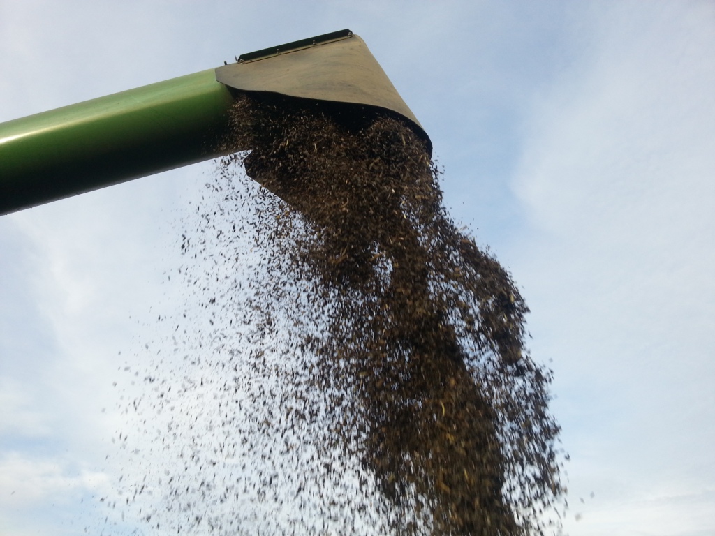 Bilder folgen in Kürze