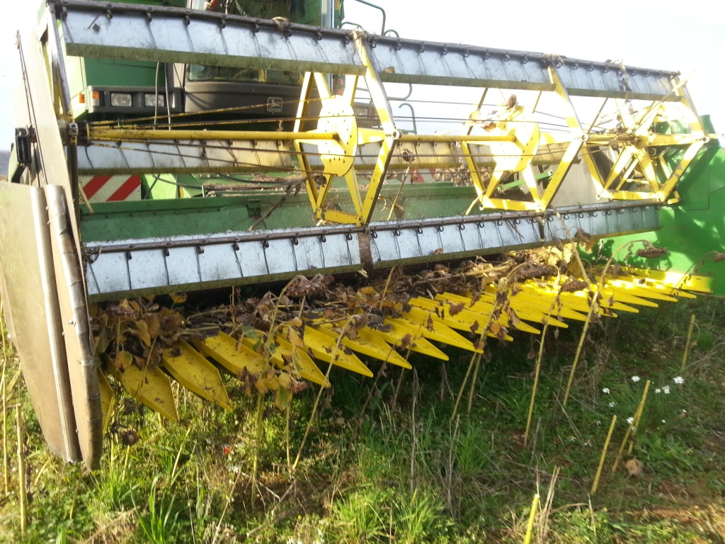 Bilder folgen in Kürze