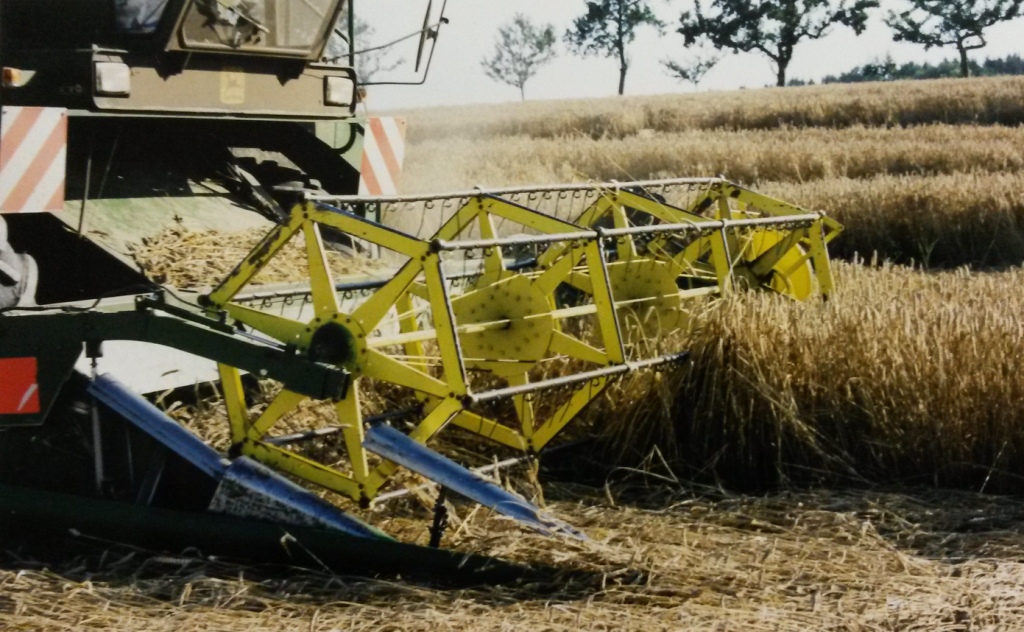 Bilder folgen in Kürze