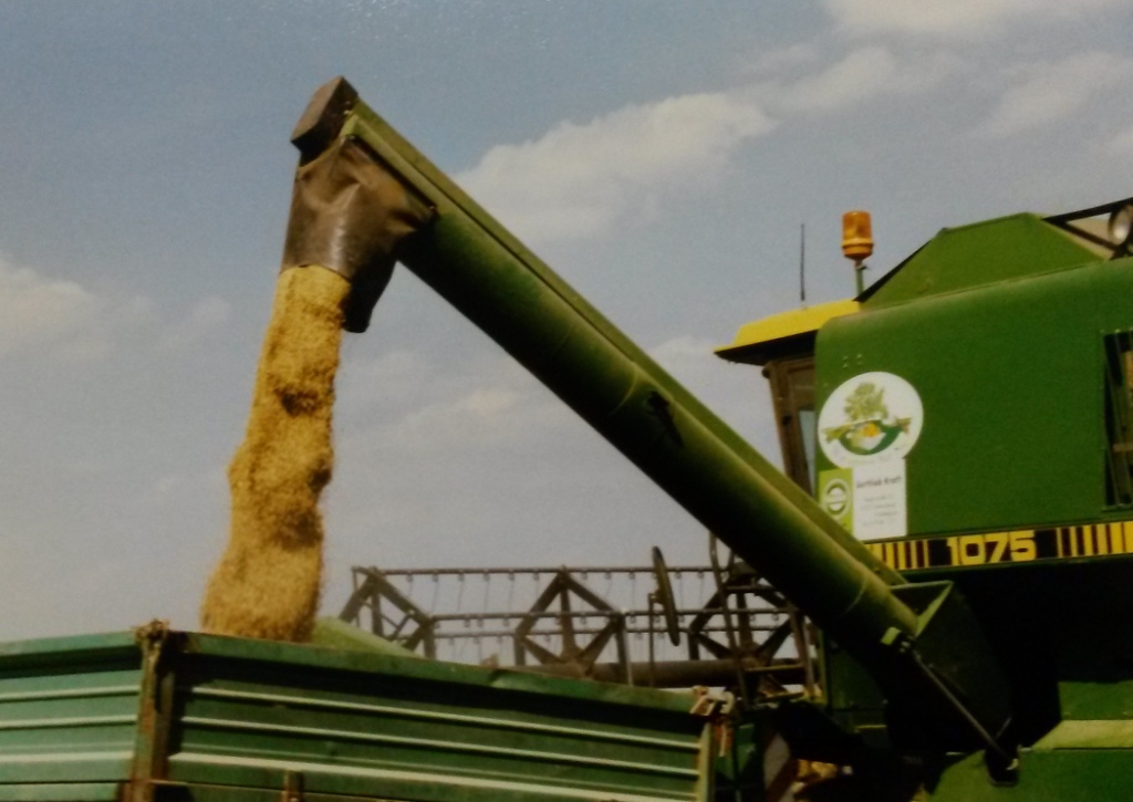 Bilder folgen in Kürze