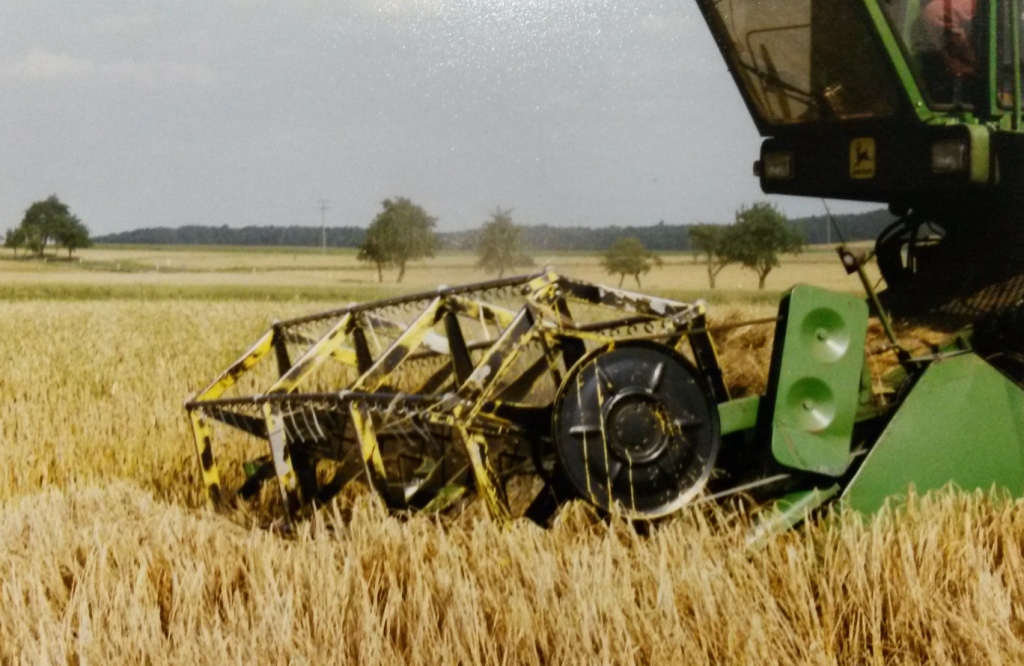 Bilder folgen in Kürze