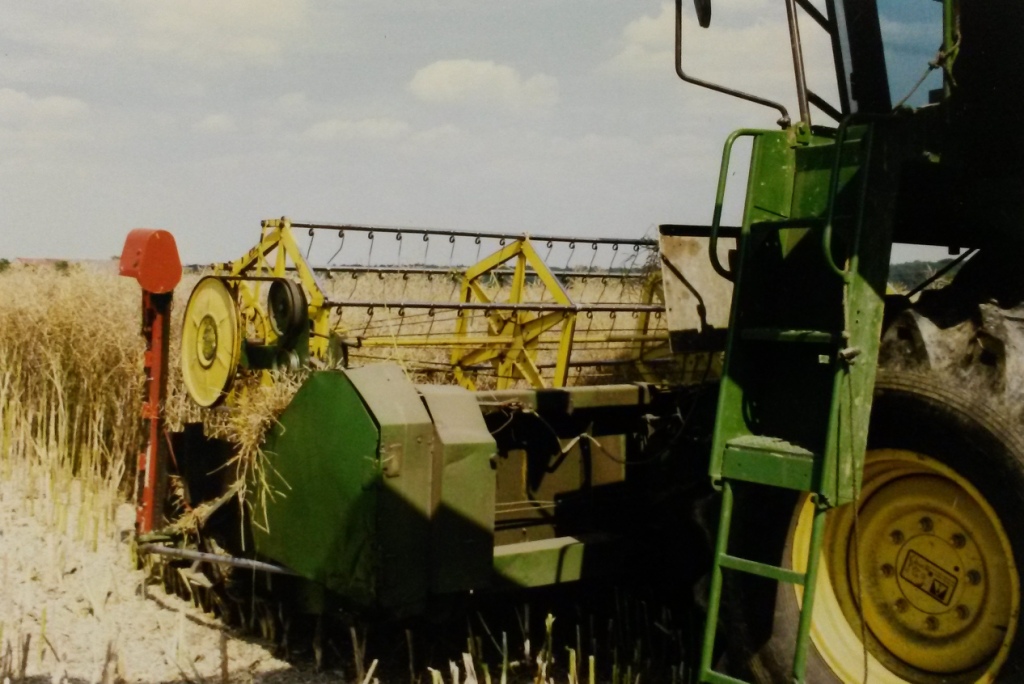 Bilder folgen in Kürze