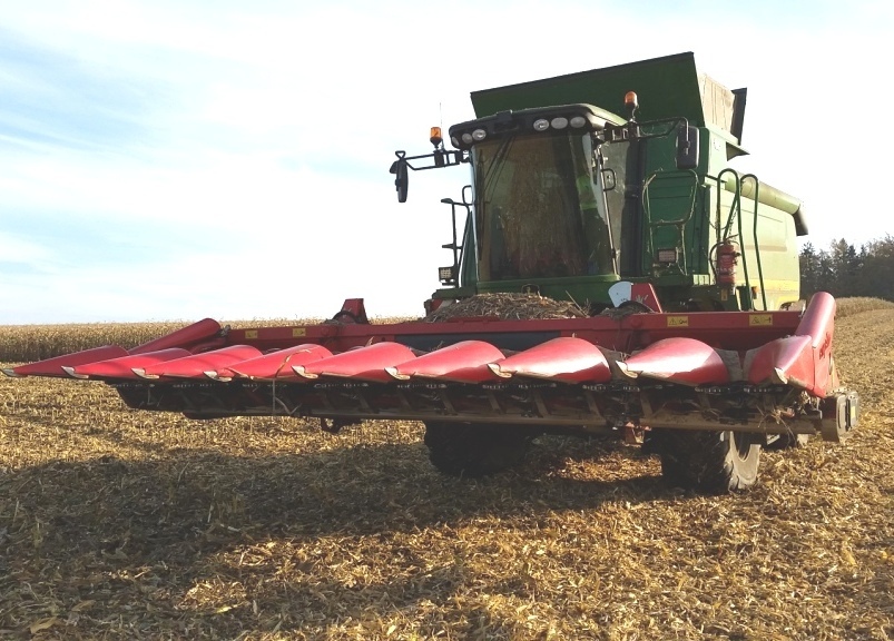 Bilder folgen in Kürze