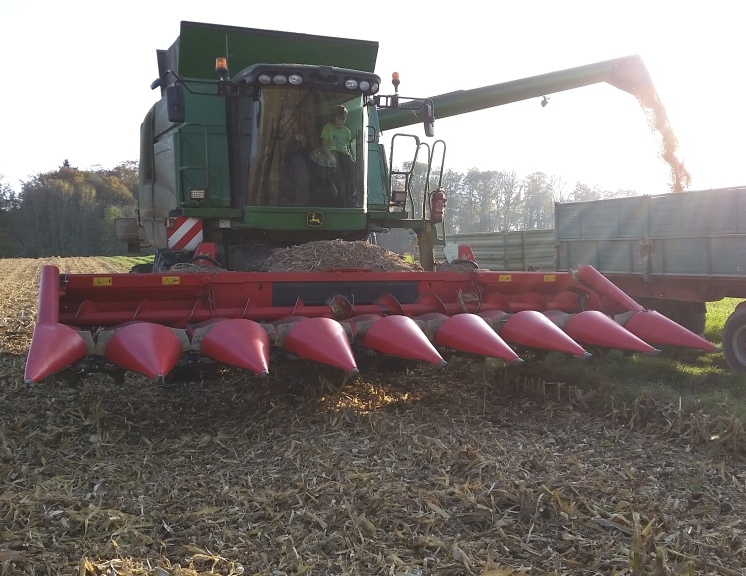 Bilder folgen in Kürze