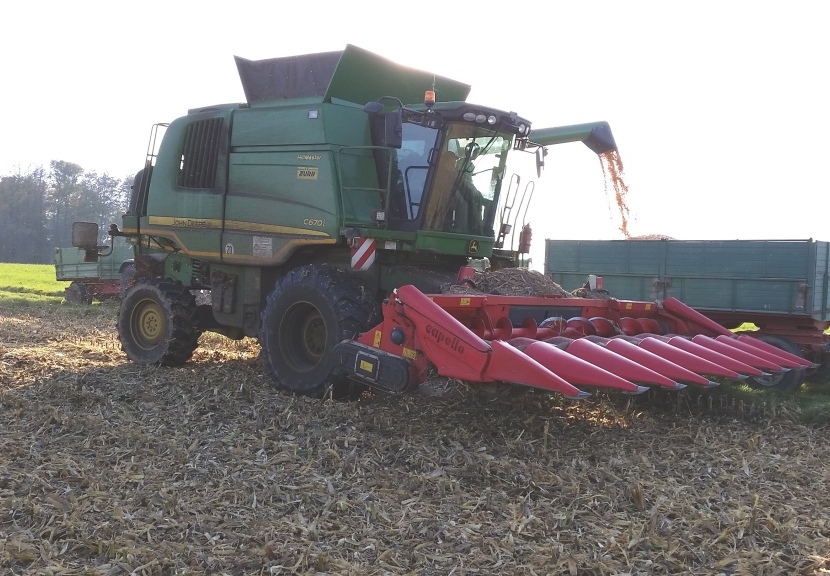 Bilder folgen in Kürze