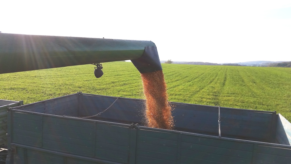 Bilder folgen in Kürze