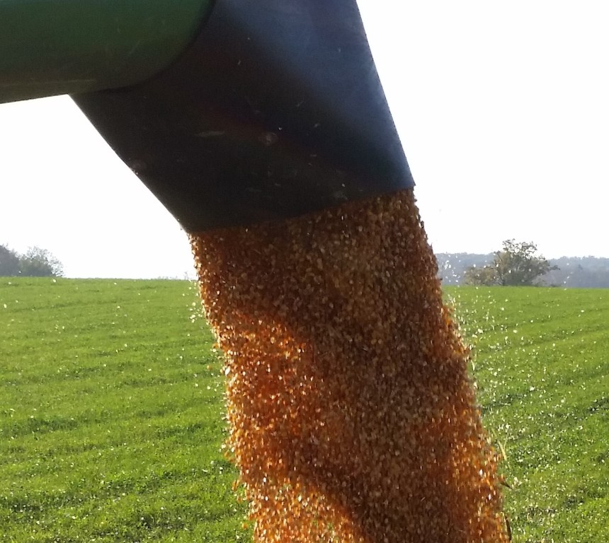 Bilder folgen in Kürze