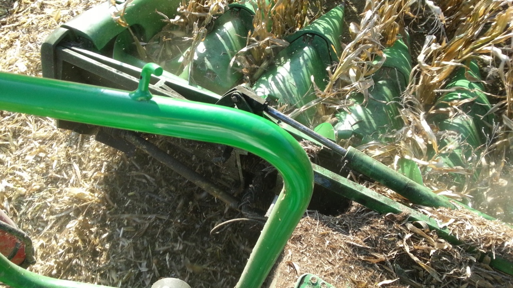 Bilder folgen in Kürze