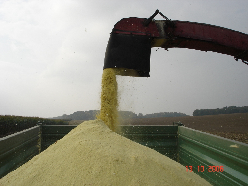 Bilder folgen in Kürze