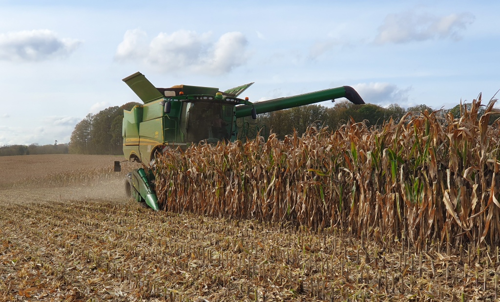 Bilder folgen in Kürze