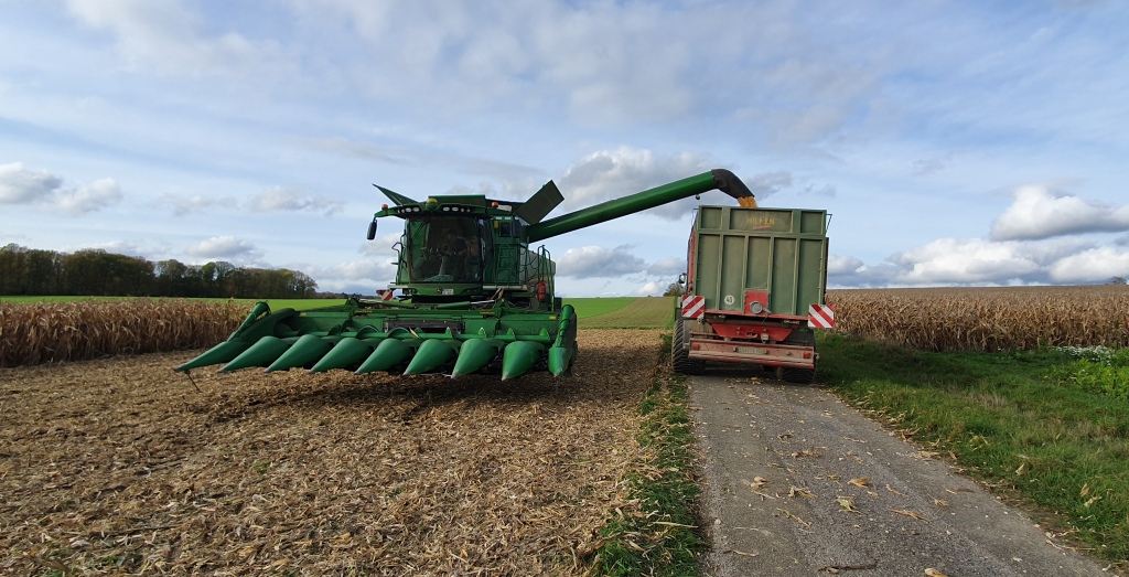 Bilder folgen in Kürze