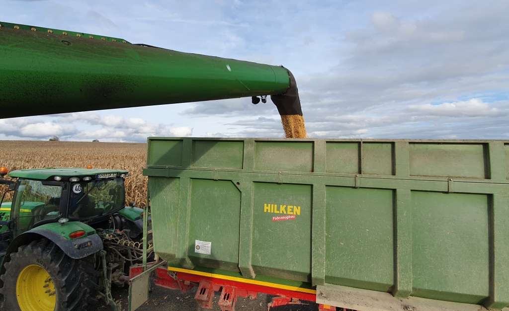 Bilder folgen in Kürze