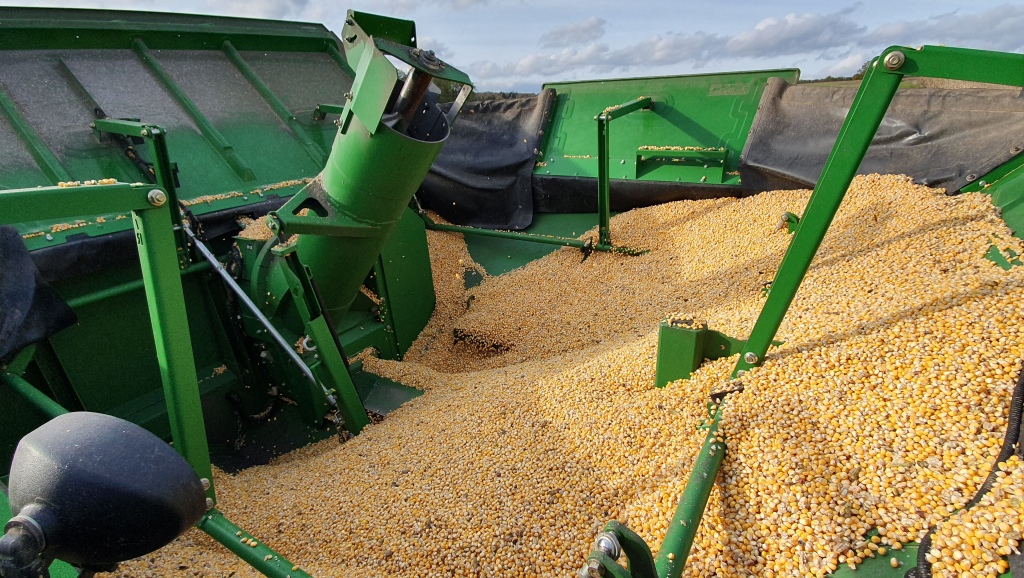 Bilder folgen in Kürze