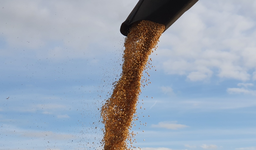 Bilder folgen in Kürze