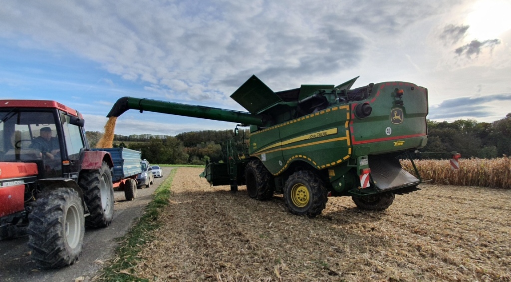 Bilder folgen in Kürze