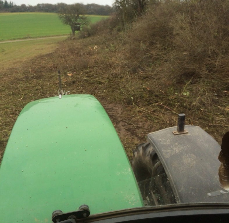 Bilder folgen in Kürze