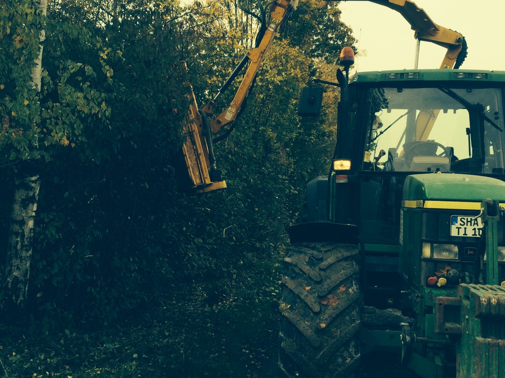 Bilder folgen in Kürze