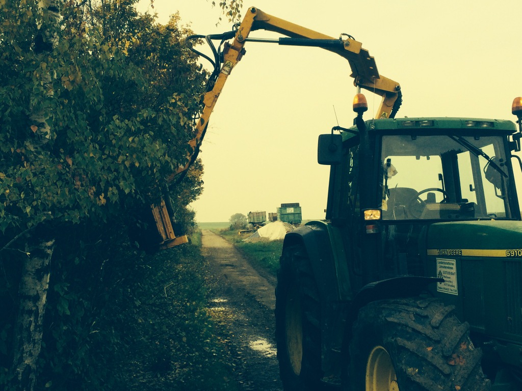 Bilder folgen in Kürze