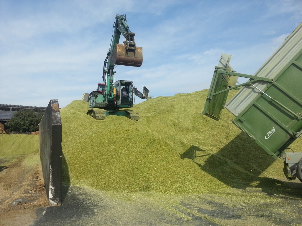 Bilder folgen in Kürze