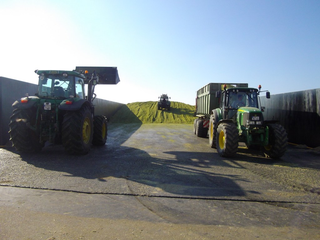 Bilder folgen in Kürze