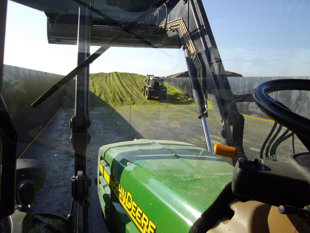 Bilder folgen in Kürze