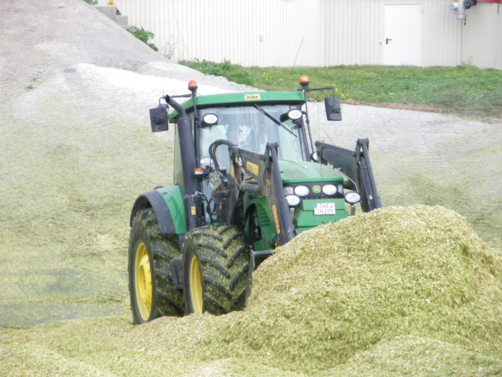 Bilder folgen in Kürze