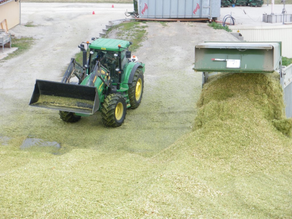 Bilder folgen in Kürze