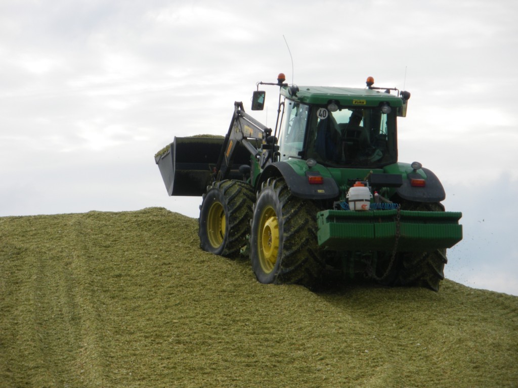 Bilder folgen in Kürze