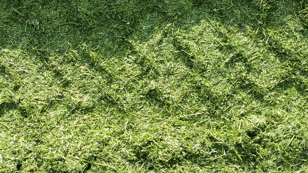 Bilder folgen in Kürze