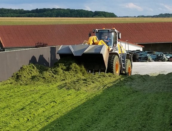 Bilder folgen in Kürze