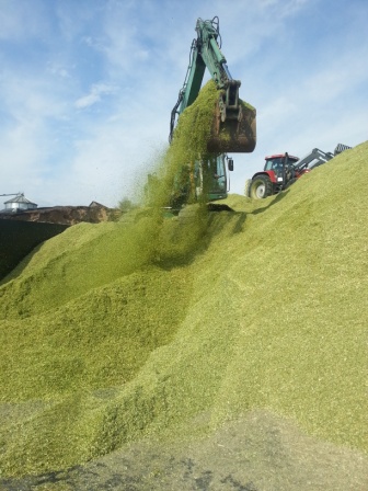 Bilder folgen in Kürze