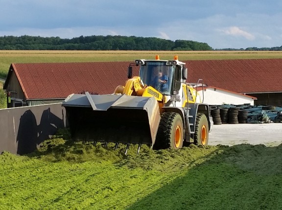 Bilder folgen in Kürze