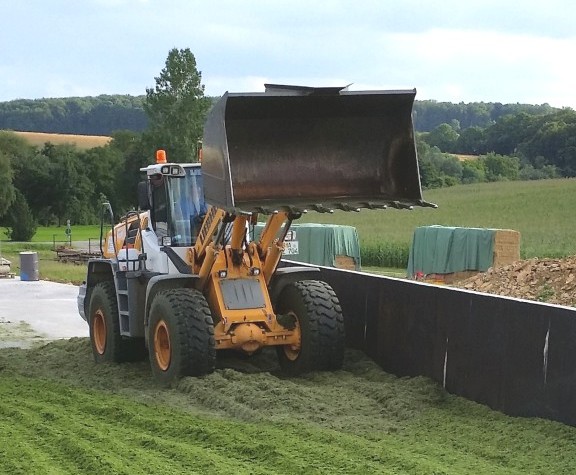 Bilder folgen in Kürze