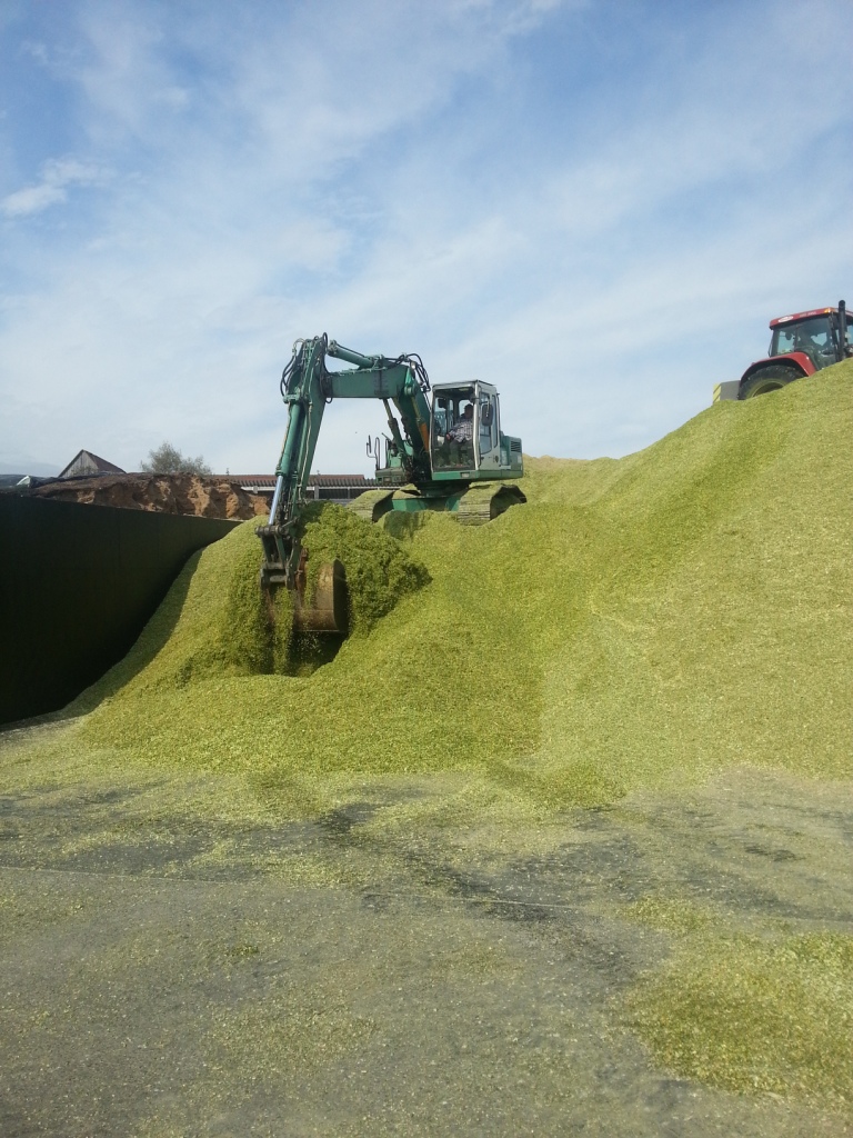 Bilder folgen in Kürze