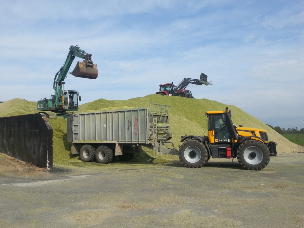 Bilder folgen in Kürze