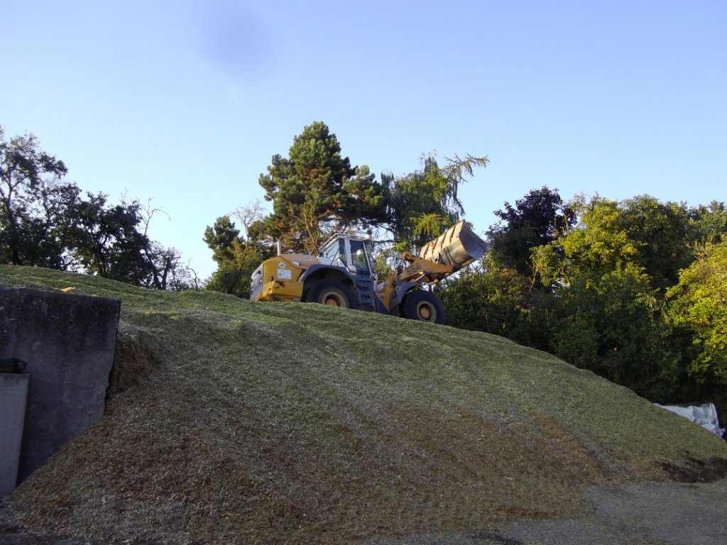 Bilder folgen in Kürze