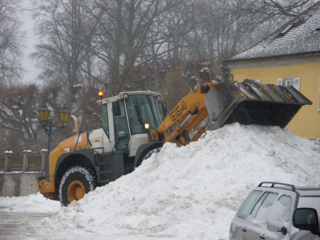 Bilder folgen in Kürze