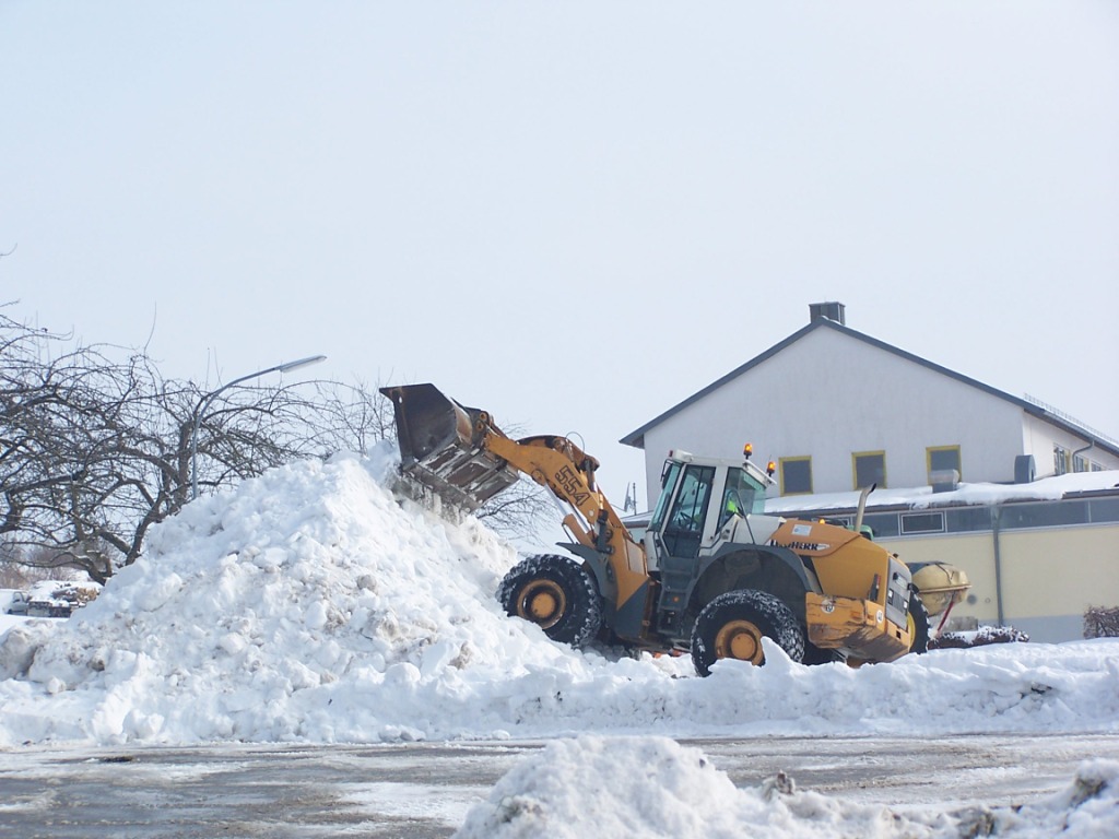 Bilder folgen in Kürze